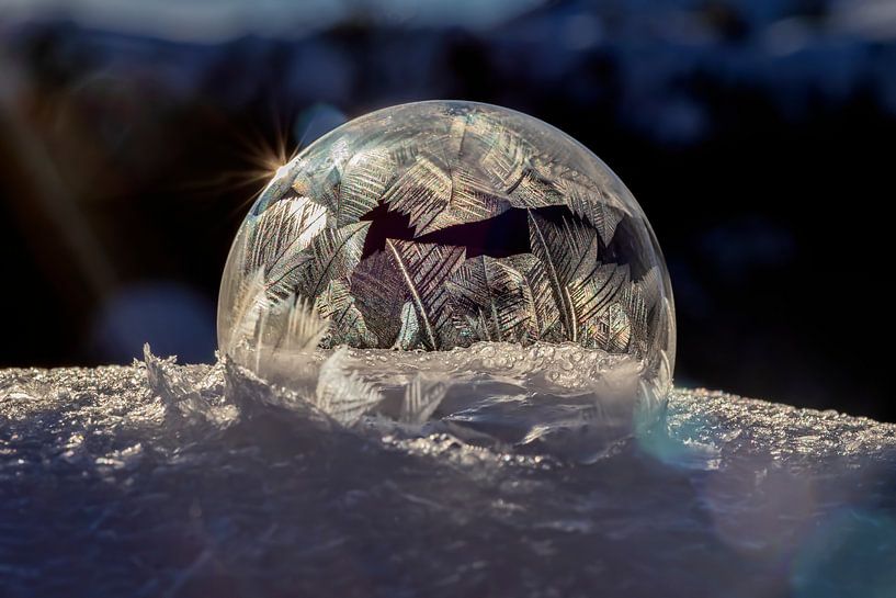 Frozen bubble 2021 von Stefanie van Dijk