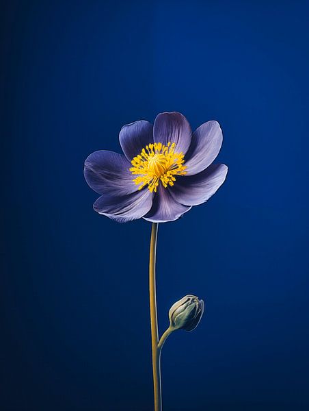 Aconite Flower Portrait by Virgil Quinn - Decorative Arts