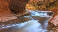 The Subway in Zion National Park, Utah, USA by Henk Meijer Photography thumbnail