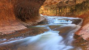 Le métro dans le parc national de Zion, Utah, USA sur Henk Meijer Photography