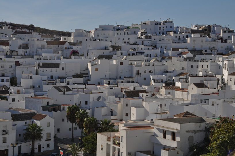 Andalusia - Wit dorp van Menno Meulebeek