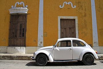 Kever in Mexico van Antwan Janssen