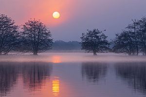 Zonsopkomst boven de Brabantse vennen