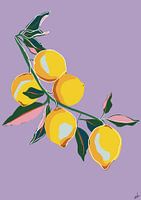 Sweet lemons