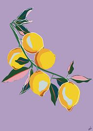 Sweet lemons by Studio Marloes