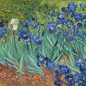 Irises de Vincent van Gogh