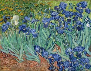 Iris (Schwertlilien), Vincent van Gogh