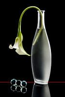 white calla lily with marbles