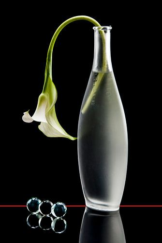 Witte calla met knikkers.