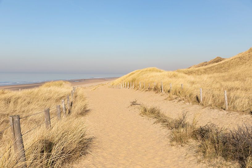 Naar de zee par Marijke van Eijkeren