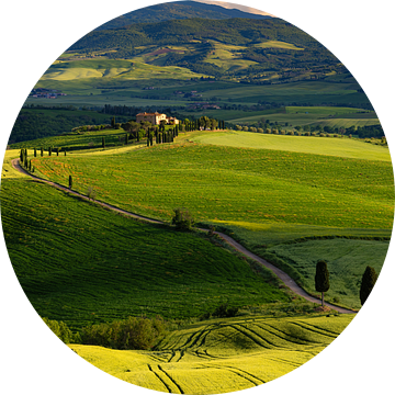 Uitzicht op Agriturismo Terrapile, Italië van Adelheid Smitt
