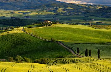 Uitzicht op Agriturismo Terrapile, Italië van Adelheid Smitt