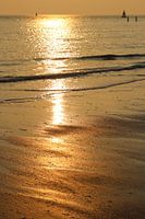 Goudkust
