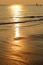 Goudkust van Patrick Riemens thumbnail