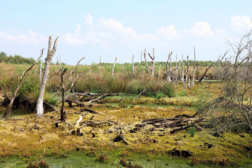 Peat by Henk Katuin