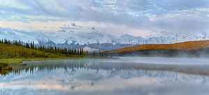 Denali Berg in Alaska von Menno Schaefer
