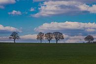 Une prairie verte avec des arbres à l'horizon au printemps à Malines, dans le Limbourg par Kim Willems Aperçu