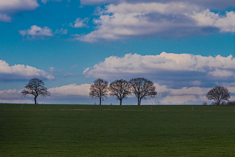 Une prairie verte avec des arbres à l'horizon au printemps à Malines, dans le Limbourg par Kim Willems