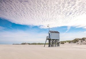 Alto Cumulus