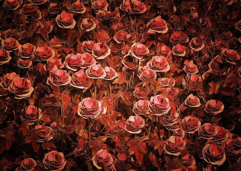 Roses - Roses roses par Jan Keteleer