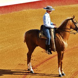 Spaanse ruiter te paard van Robbert Strengholt