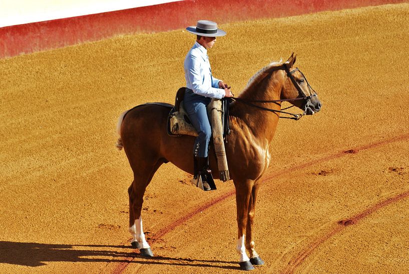 Spaanse ruiter te paard van Robbert Strengholt