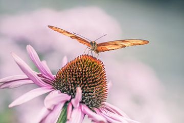 Le papillon de la fleur de la passion sur Hennie Zeij