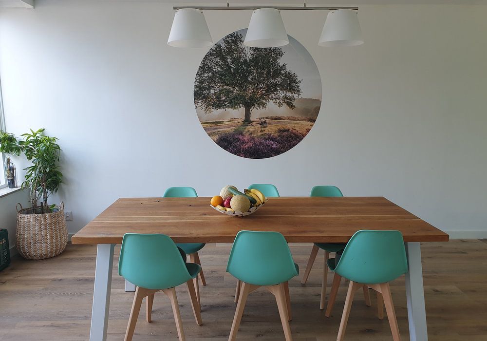 Bright sunrise behind a tree on the purple heath  by Michel Seelen 