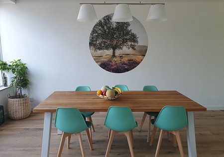 Bright sunrise behind a tree on the purple heath