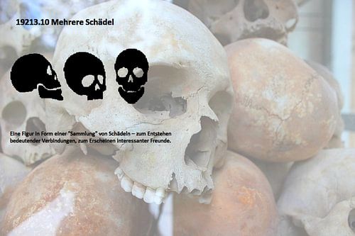 Verscheidene schedels 19213.10