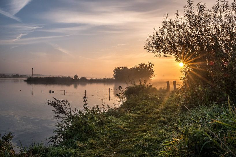 Nederrijn van Moetwil en van Dijk - Fotografie