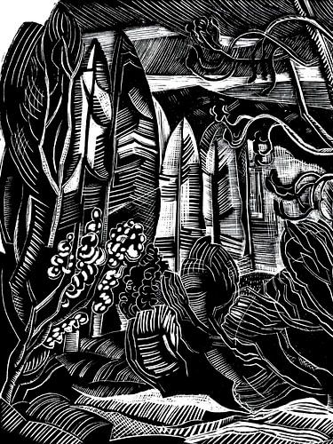 Droombos in zwart en wit