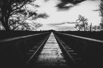 Endless Track by Maikel Brands