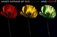 Who's affraid of RED,  YELLOW and GREEN? van Peter Bartelings thumbnail