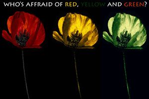 Qui a peur du rouge, jaune et du vert