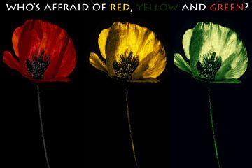 Who's affraid of RED,  YELLOW and GREEN? van Peter Bartelings