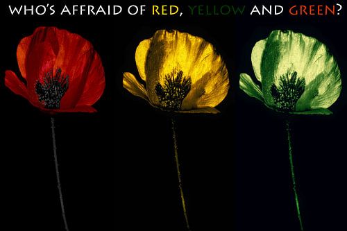 Who's affraid of RED,  YELLOW and GREEN?