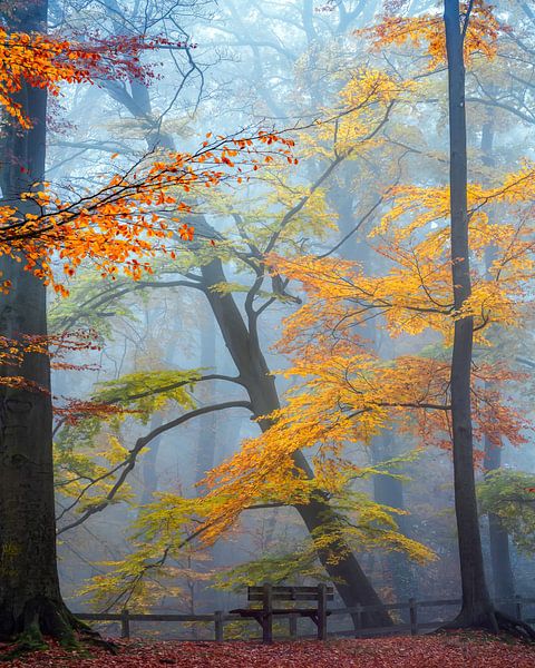 Take a Seat and Enjoy by Lars van de Goor