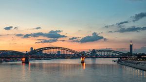 COLOGNE 20