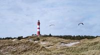 Lighthouse Panorama