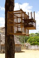 Characteristic bird trap