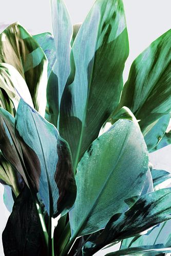 Groene bladeren I