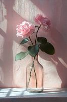 Schaduwdans met Rozen