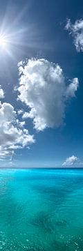 Turquoise glowing sea in the Caribbean. Portrait panorama in portrait format