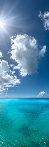 Turquoise gloeiende zee in het Caribisch gebied. Portretpanorama in staand formaat
