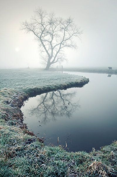 Hören Sie die Stille von Halma Fotografie