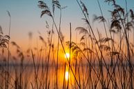 Zonsondergang Chiemsee van Maik Richter thumbnail