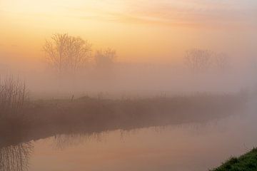 Mistige morgen langst de Dender