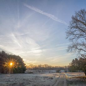 Sonnenaufgang in AWD von Dirk van Egmond