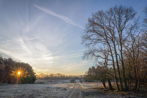 Sonnenaufgang in AWD von Dirk van Egmond